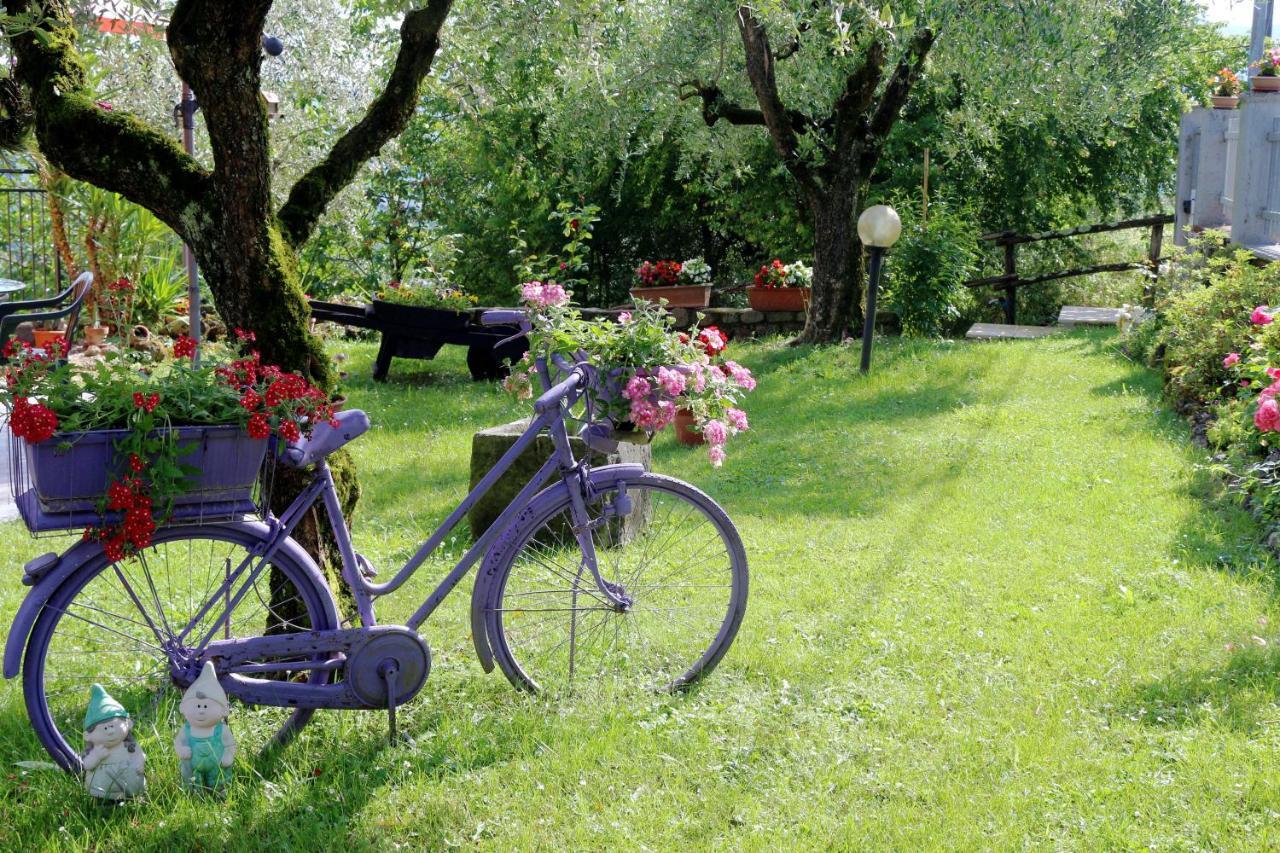 Appartamenti L'Olivo Bagnone Exterior foto